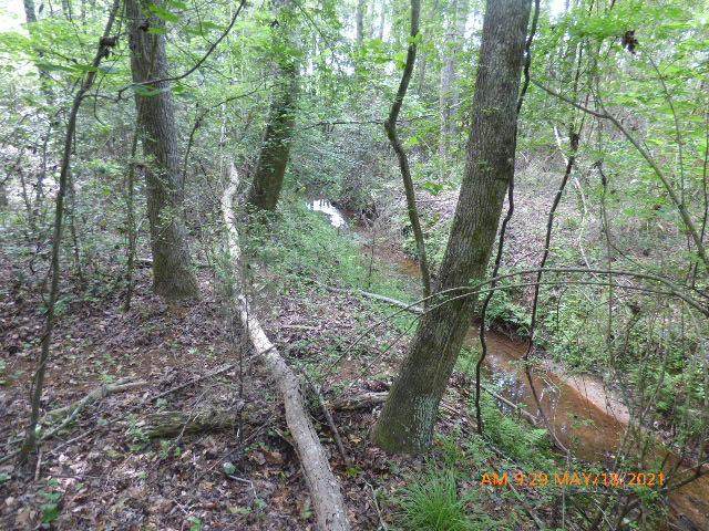 Lot 2 Irving Road - Photo 1