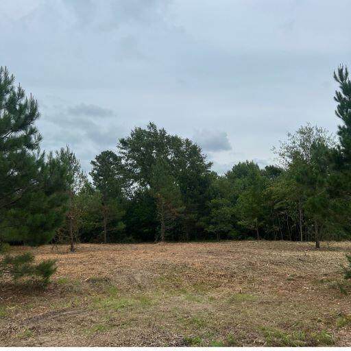 0000 Shaws Fork Road - Photo 1