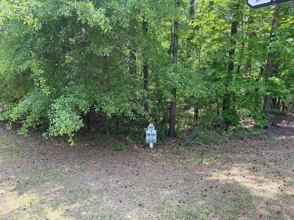Lot L-23 Militia Loop - Photo 1