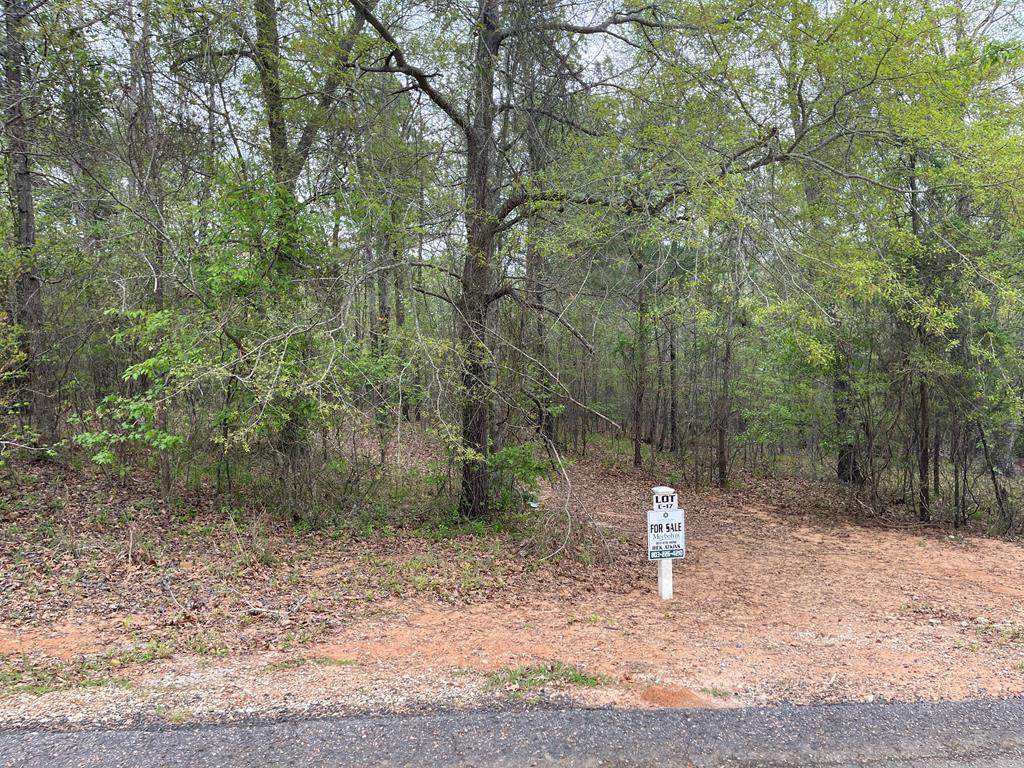 Lot C-17 Marbury Lane - Photo 1
