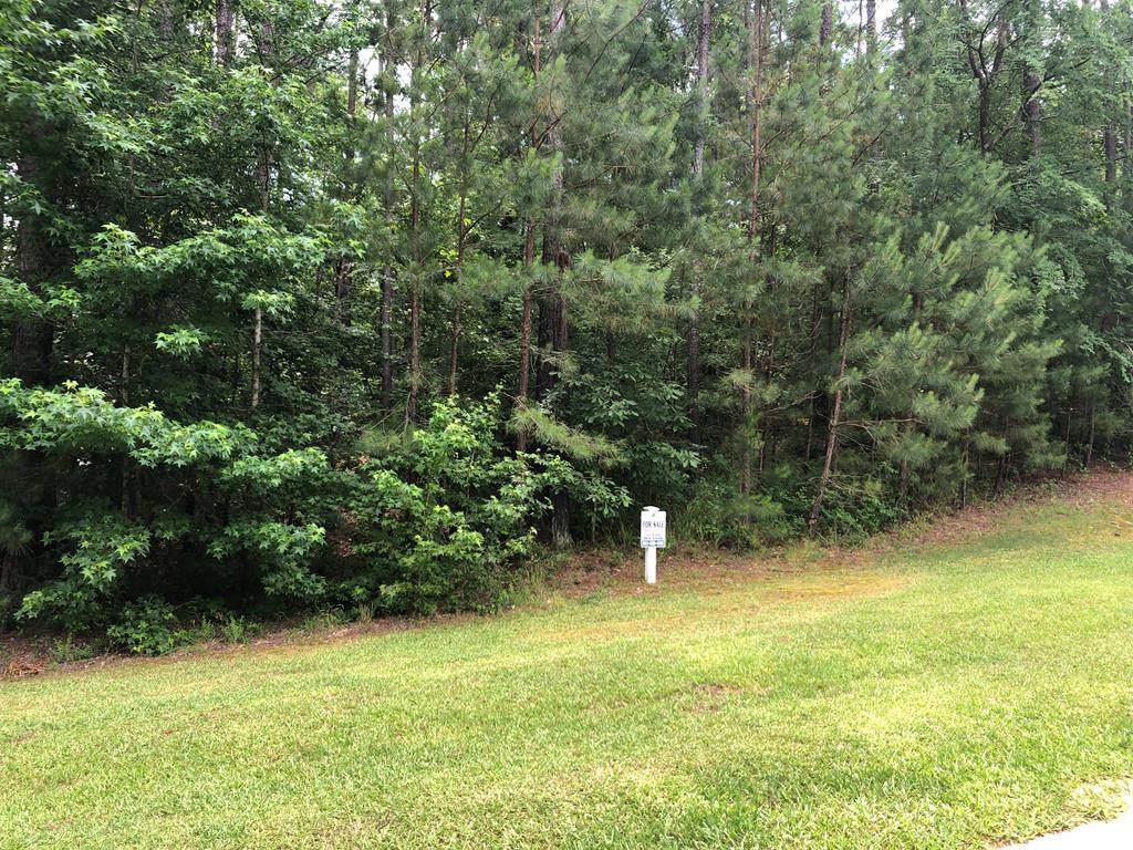 Lot K-13 Shooting Match Lane - Photo 1