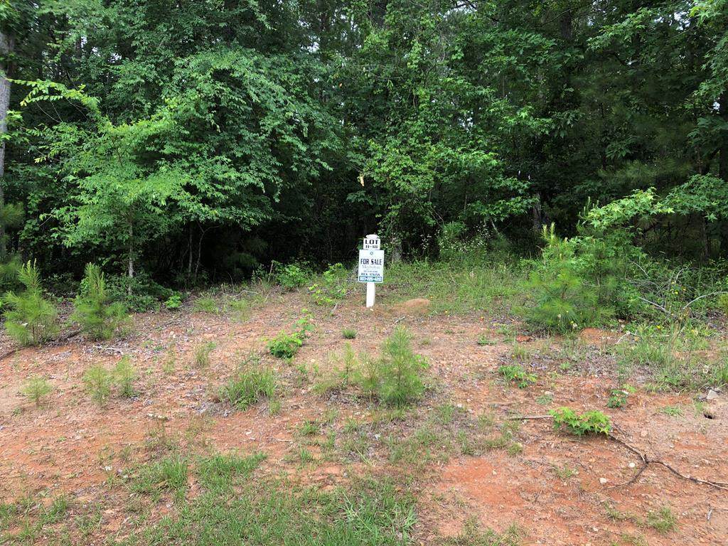 Lot H-18 Longstreet Place - Photo 1