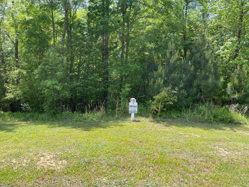 Lot L-18 Militia Loop - Photo 1