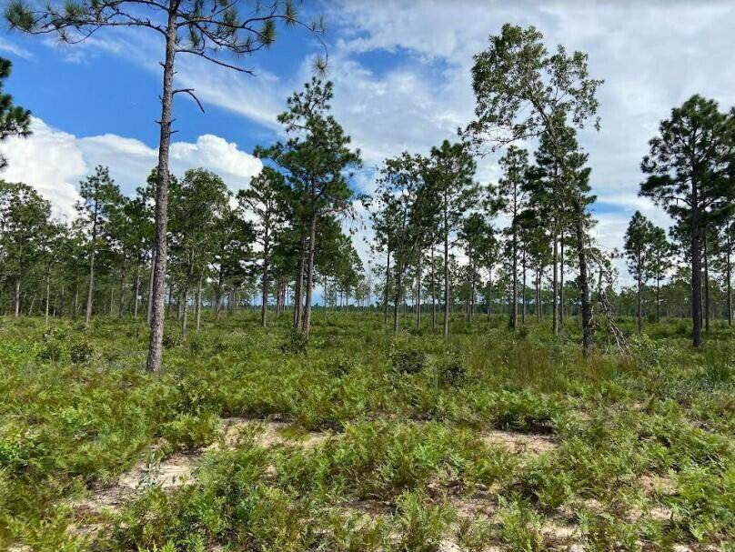 New Lot 5 State Park Road - Photo 1