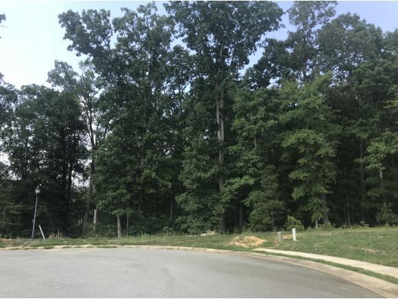 40 White Poplar Ct - Photo 1