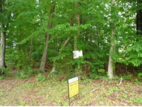 007 Bear Paw Trl - Photo 1