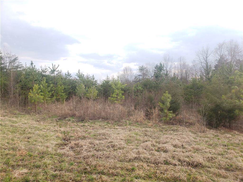 5328 Hoover Road - Photo 1