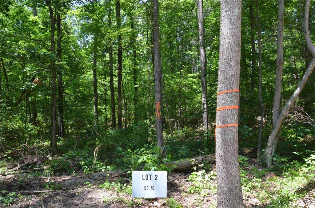 Lot 2 Indian Camp Road - Photo 1