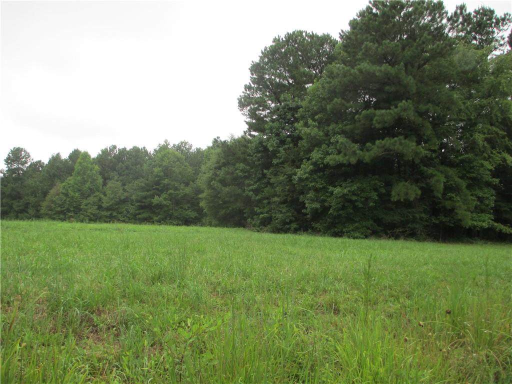 0 Jeffries Cross Road - Photo 1