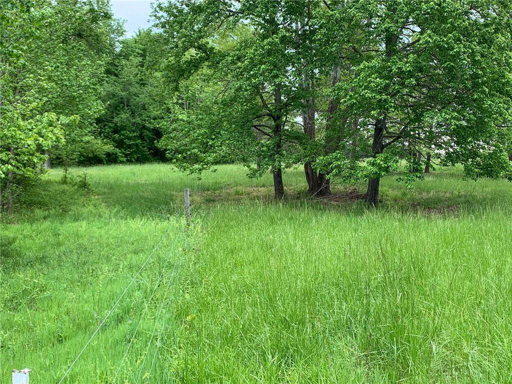 Lot 1 County Home Road - Photo 1