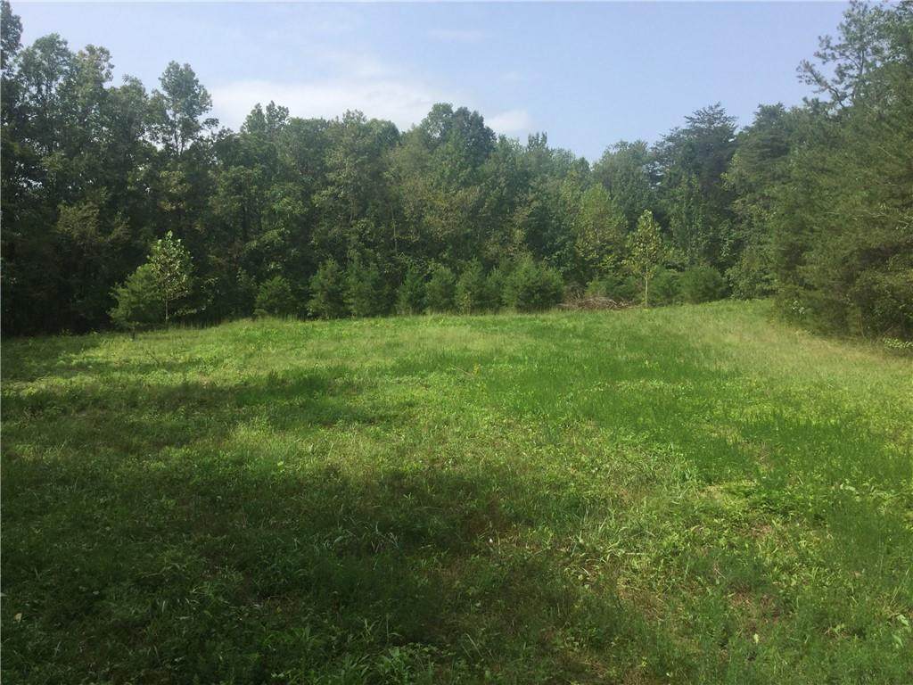 Lot 2 Preacher Hayes Road - Photo 1