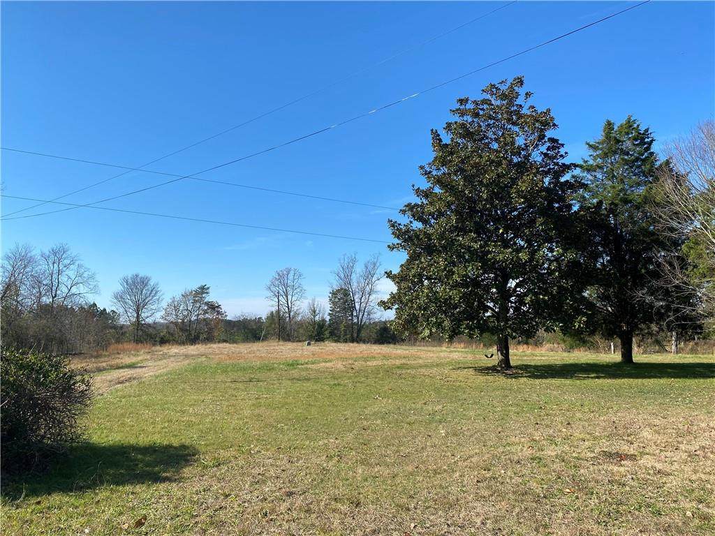 30.77 ACRES Maurice Daniels Road - Photo 1