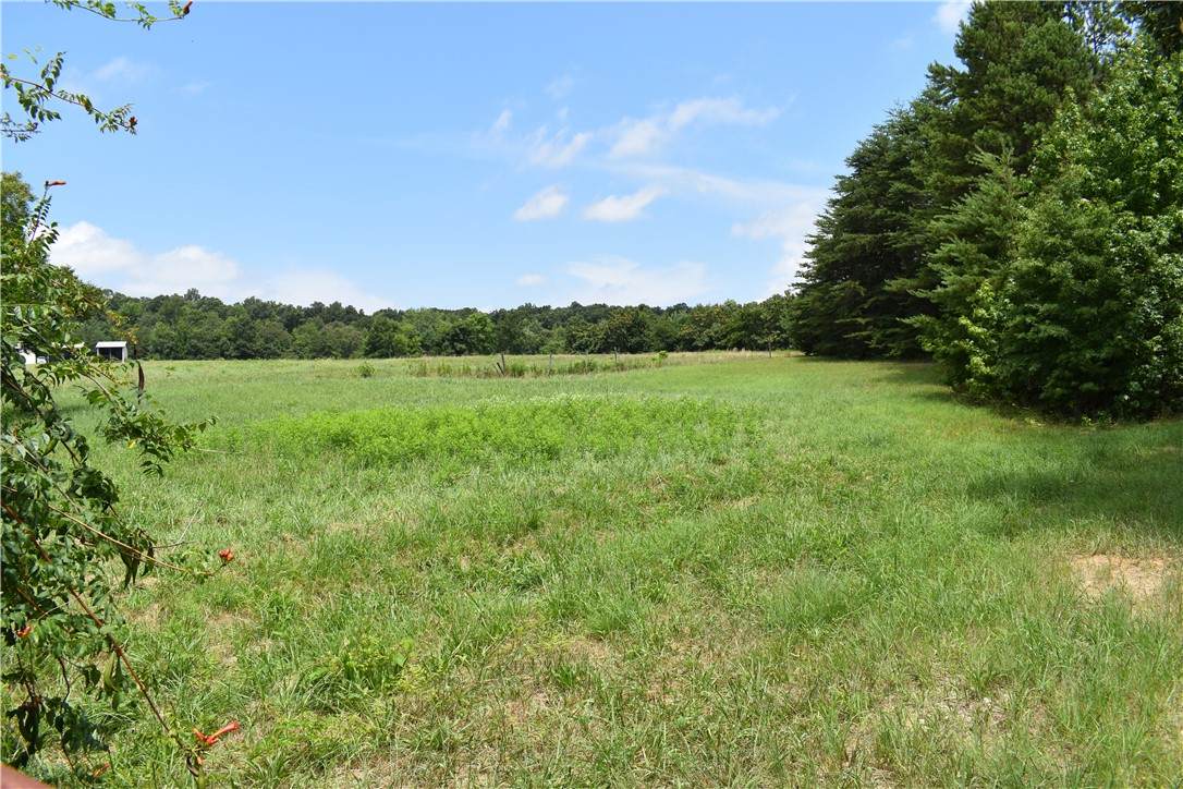 00 Chapel Hill Church Road - Photo 1