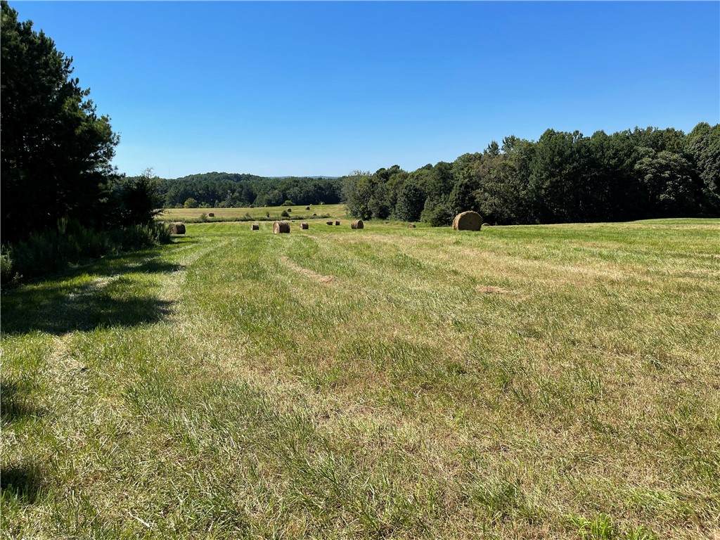 3001 Headen Country Trail - Photo 1