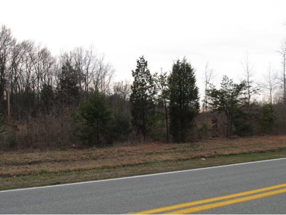 0000 Rascoe Dameron Rd - Photo 1