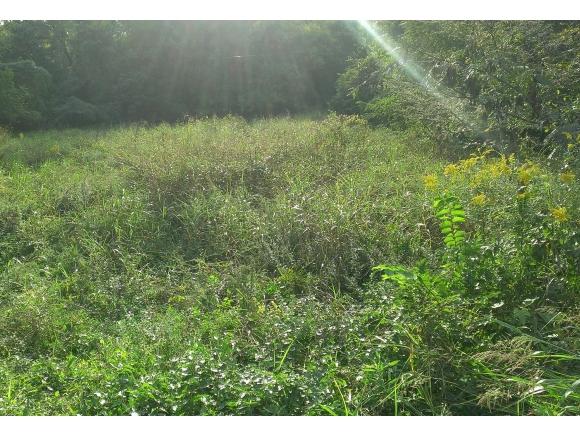 1898 Willow Road - Photo 1