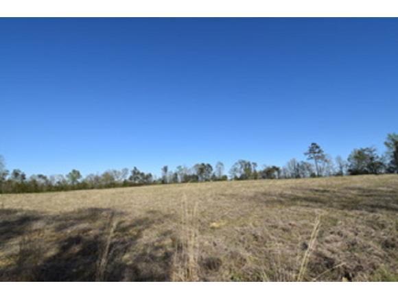 00 Union Ridge Road - Photo 1