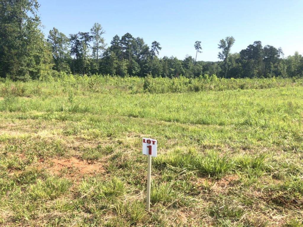 3195 Burch Bridge Road - Photo 1