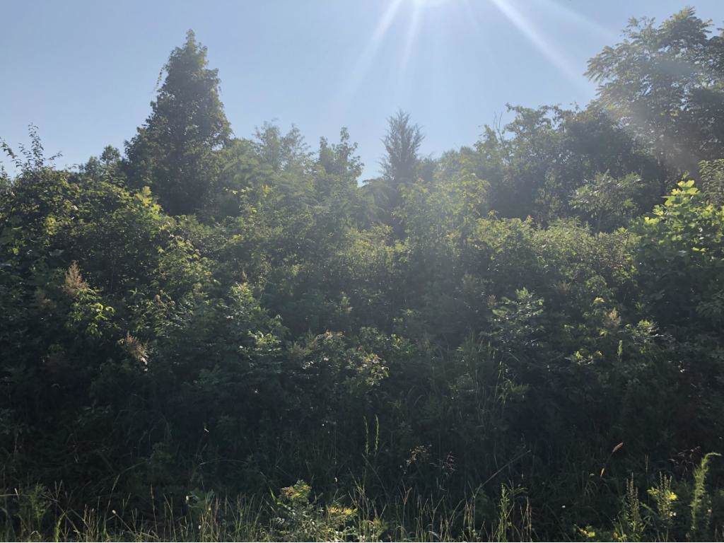 0 Turner Road - Photo 1