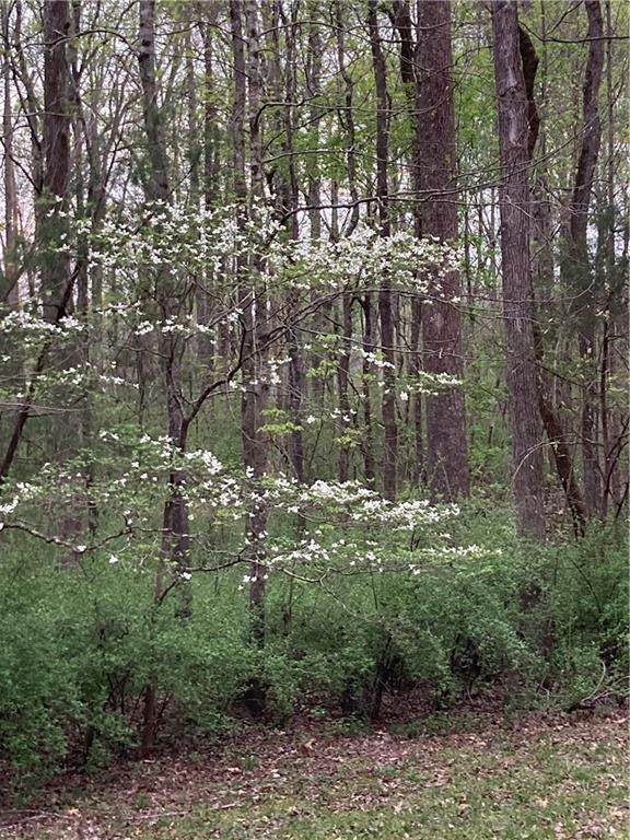 3975 Bellemont Mt Hermon Road - Photo 1