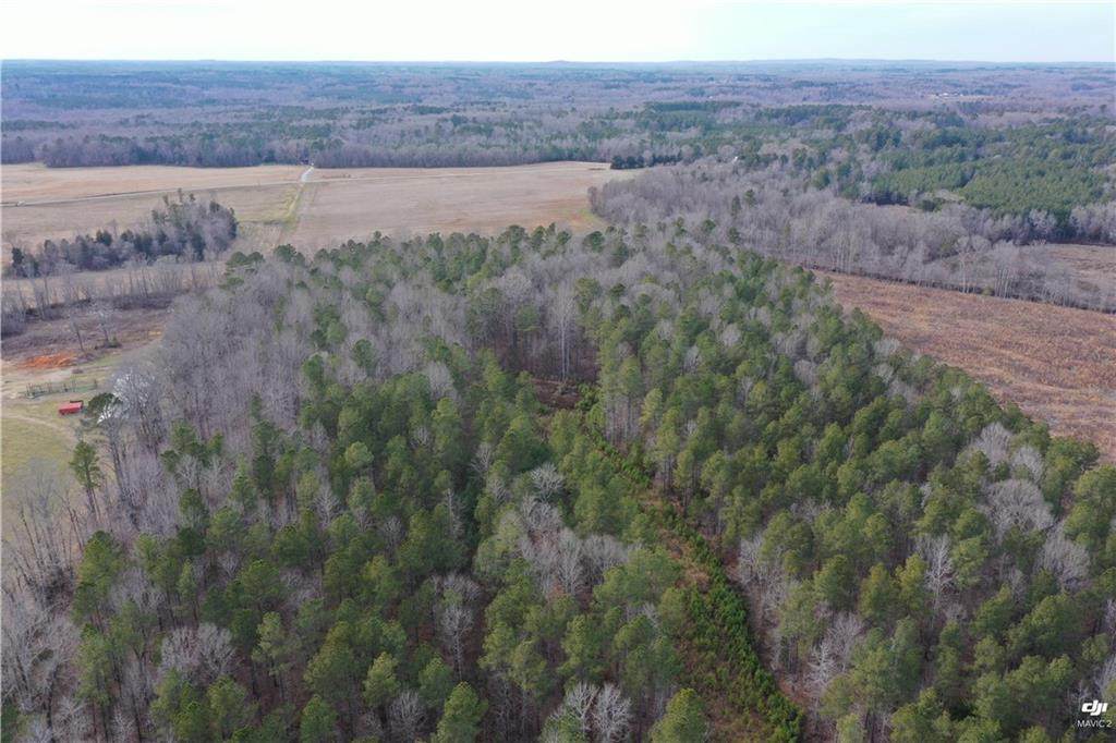 Lot 3 Collins Mountain Road - Photo 1