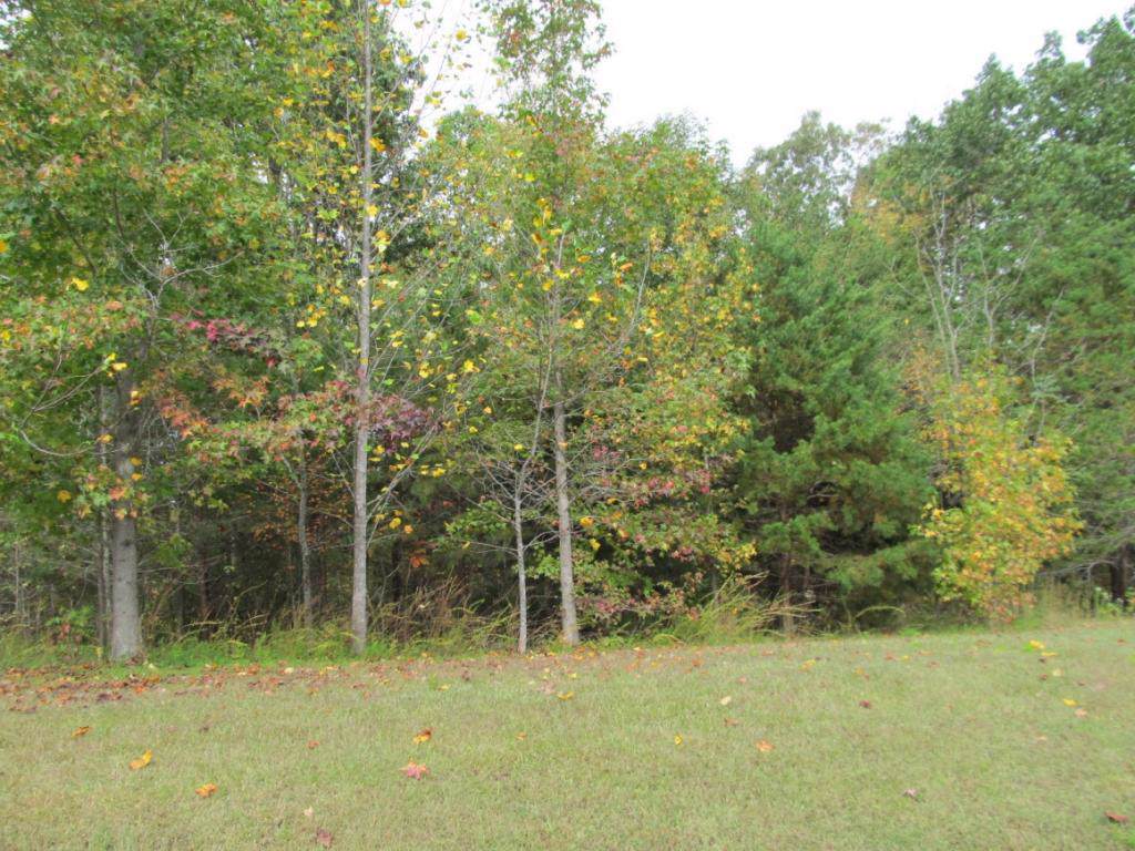 00 Lake Pointe Dr Lot 11 - Photo 1