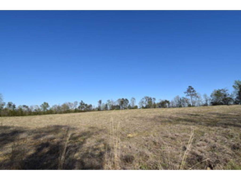 00 Union Ridge Road - Photo 1