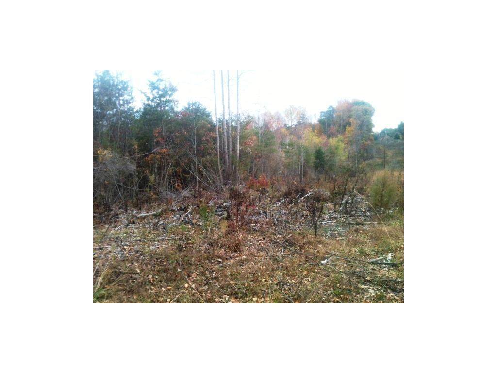 0 Williams Mill Road - Photo 1