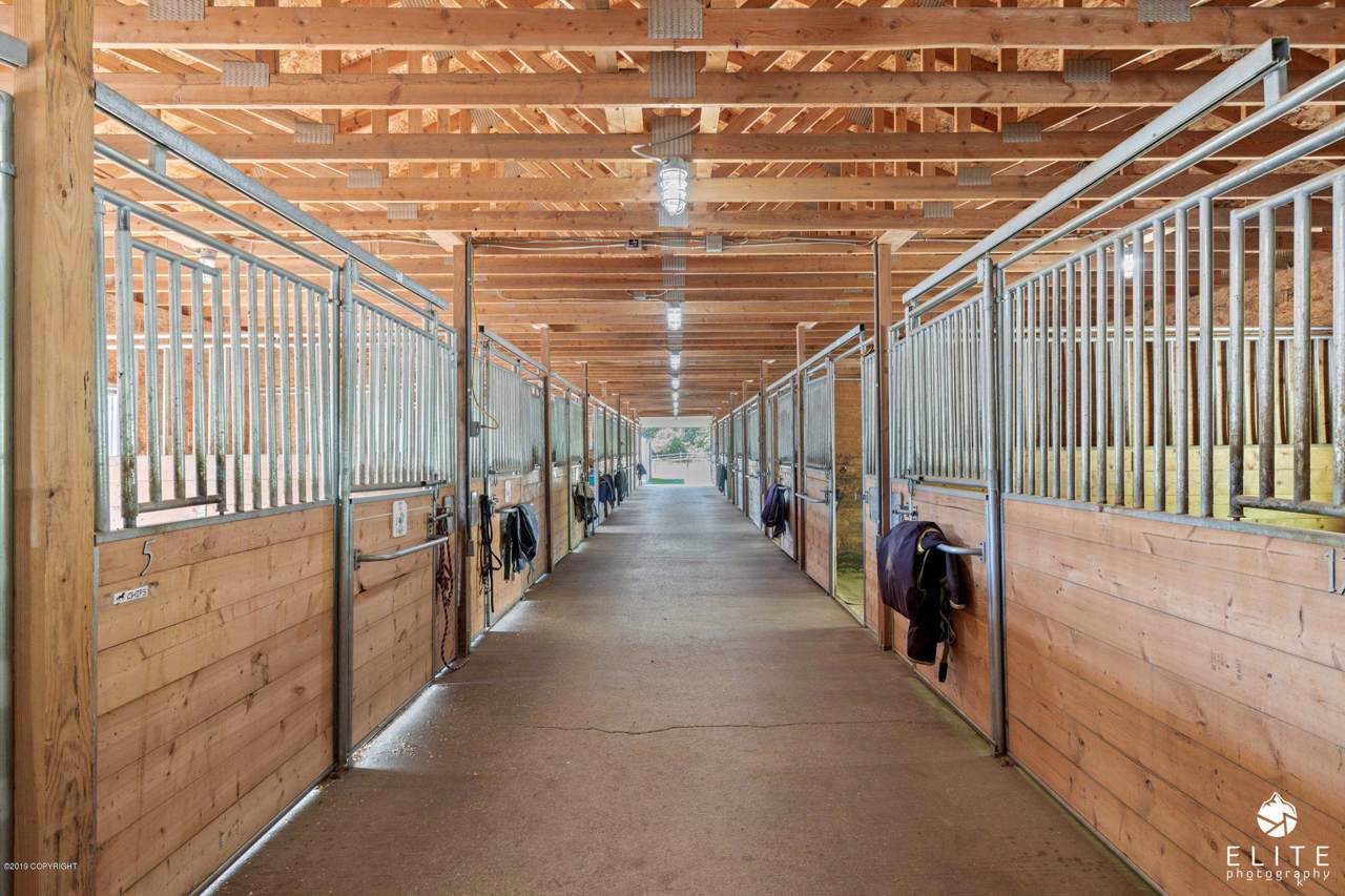 9500 Horse Play Circle - Photo 1
