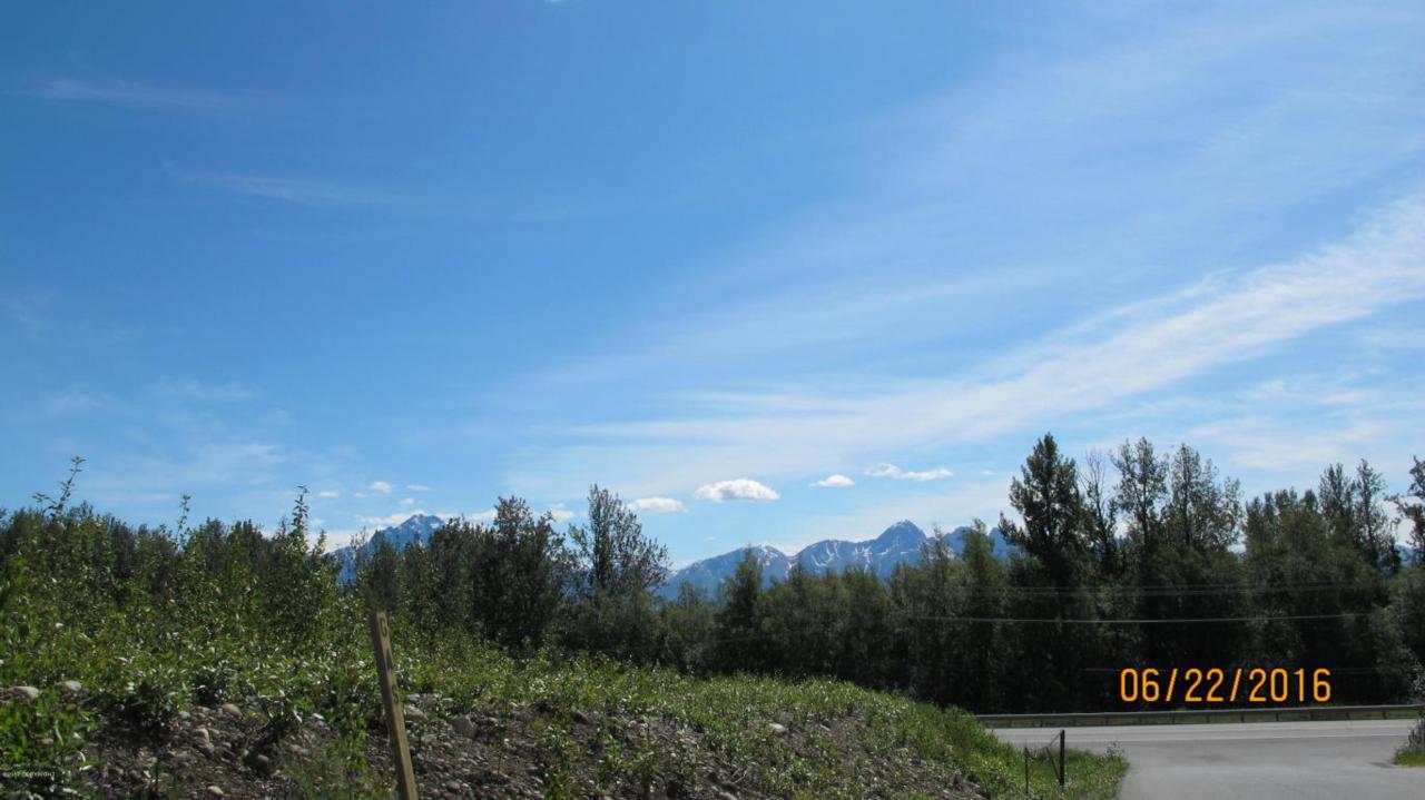 10221 Palmer-Wasilla Highway - Photo 1
