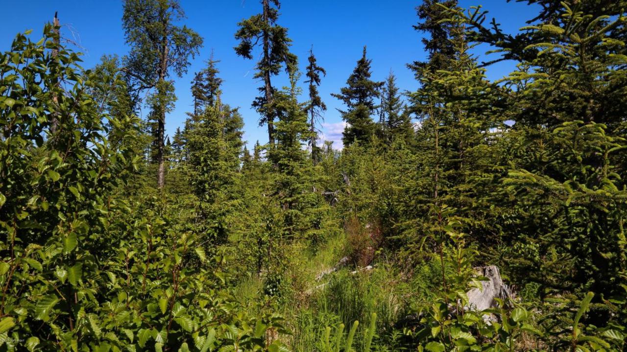 C4 Alaskan Wildwood Ranch(R) - Photo 1