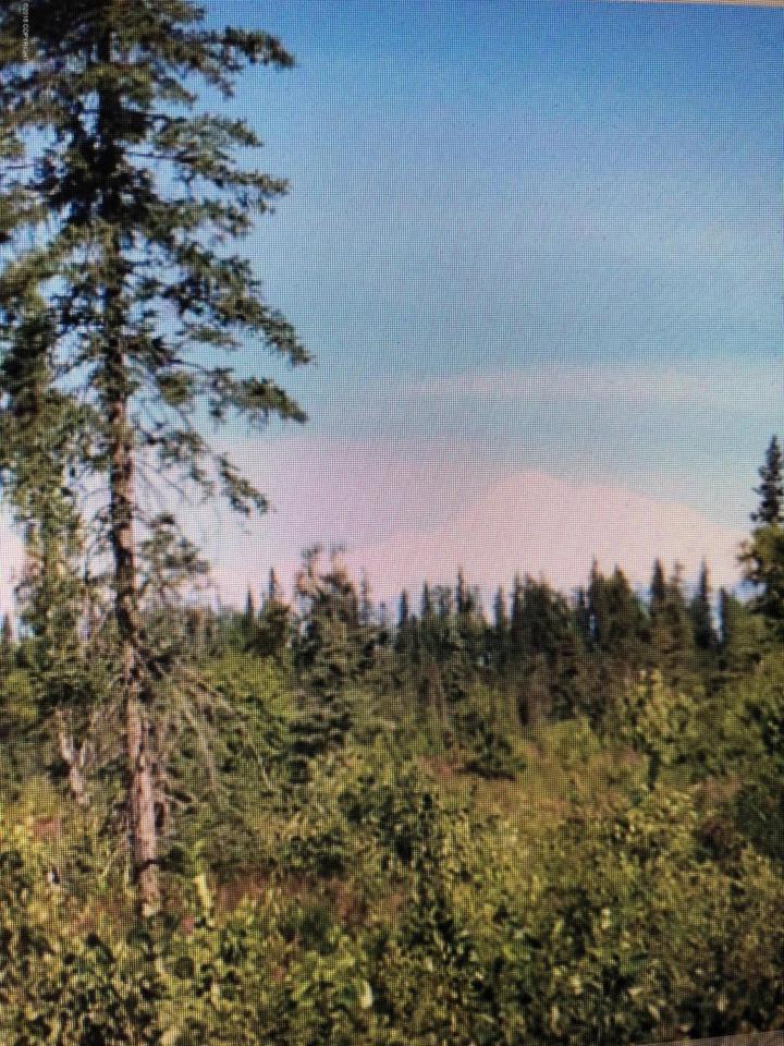 0000 Boundary - Photo 1