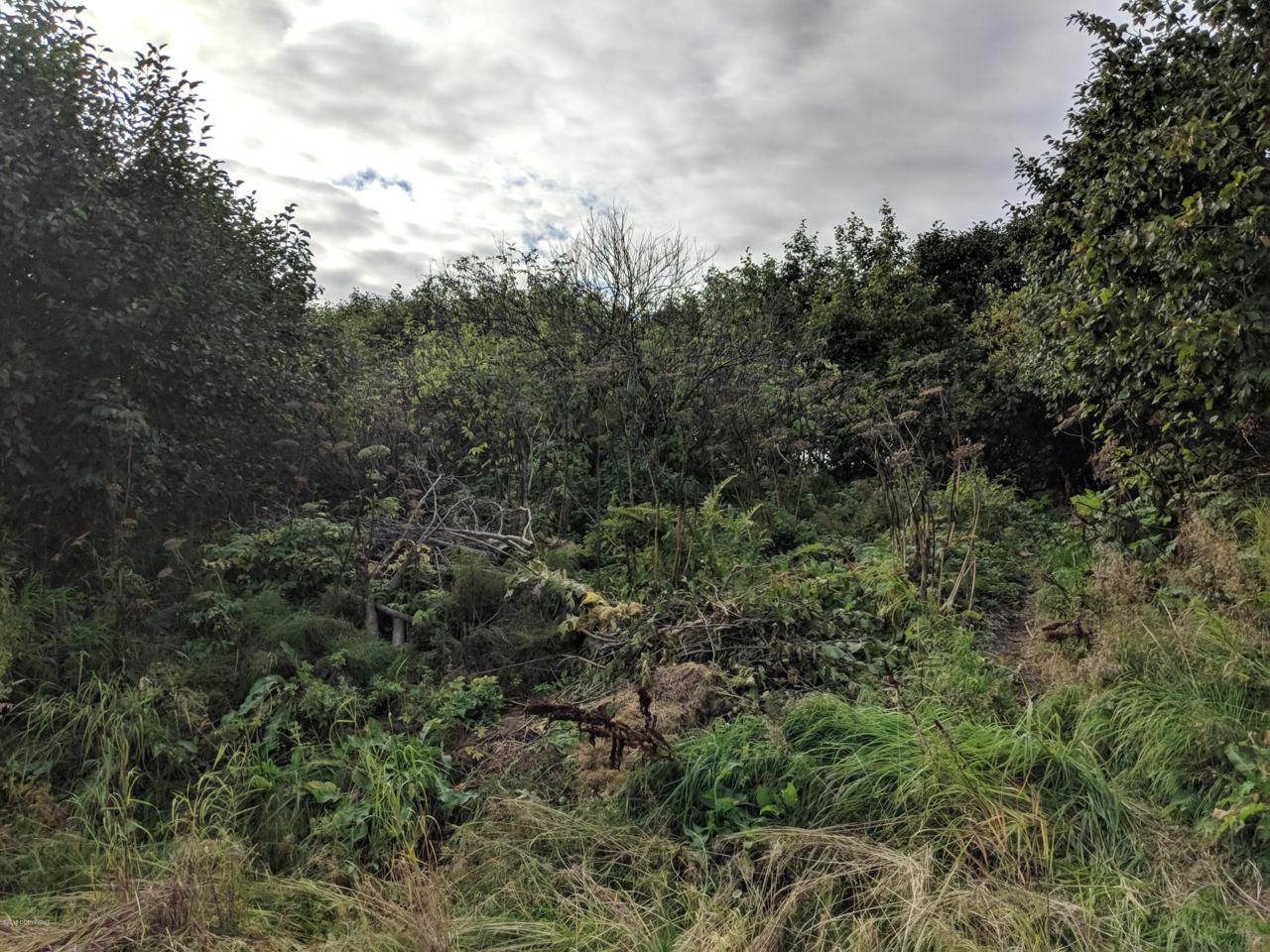 868 Linda Court - Photo 1