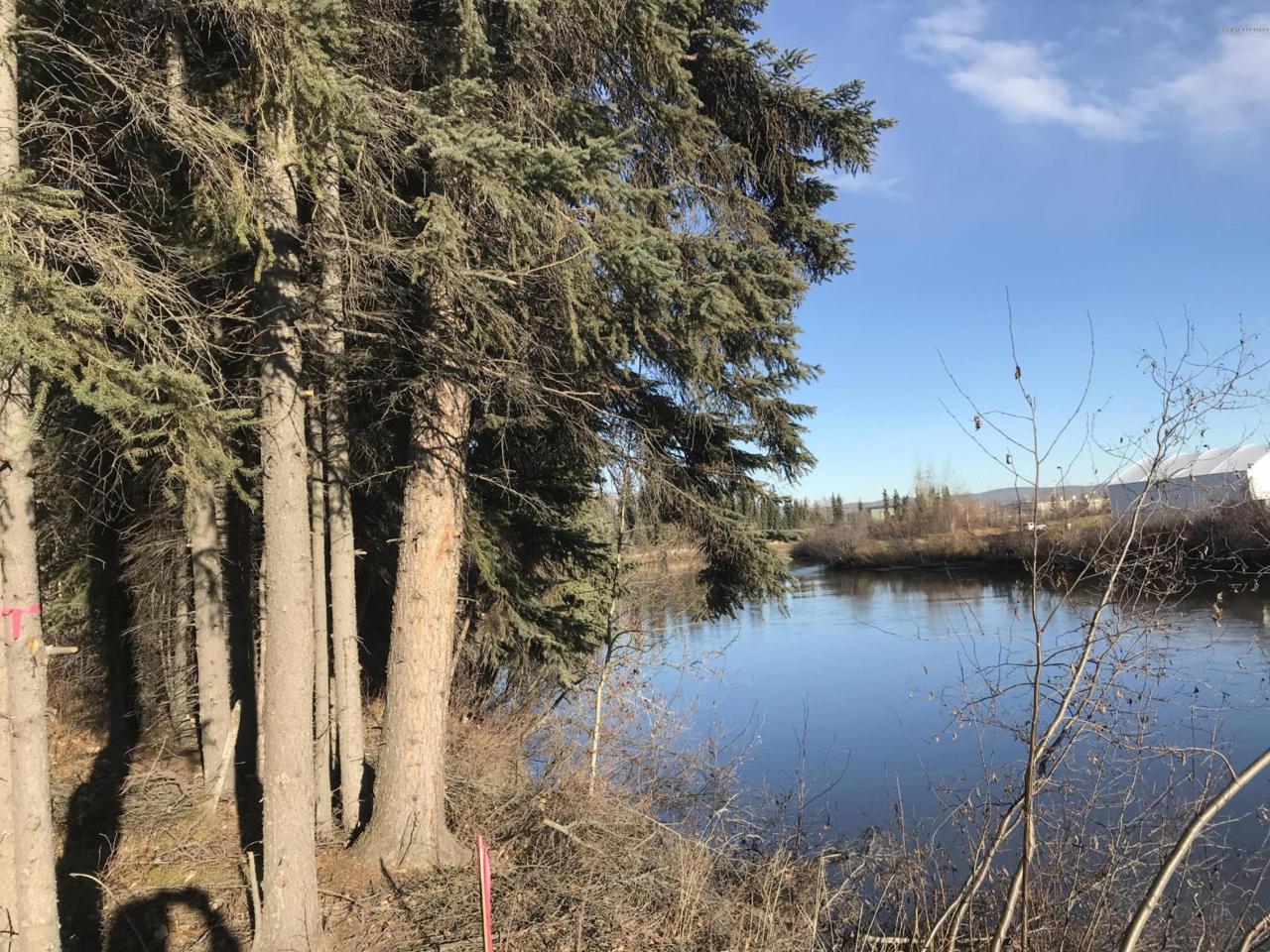 1820 Chena Landings Loop - Photo 1