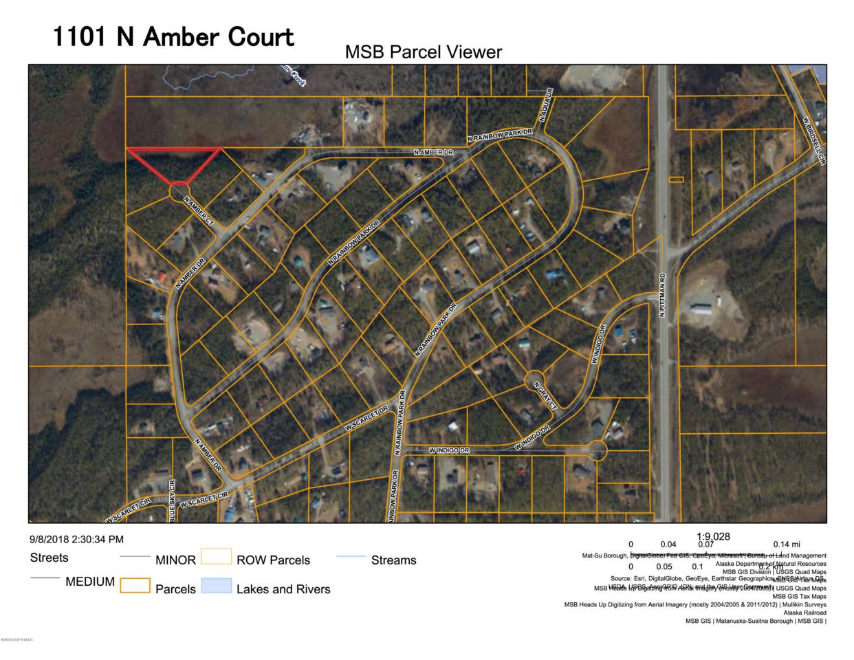 1101 Amber Court - Photo 1