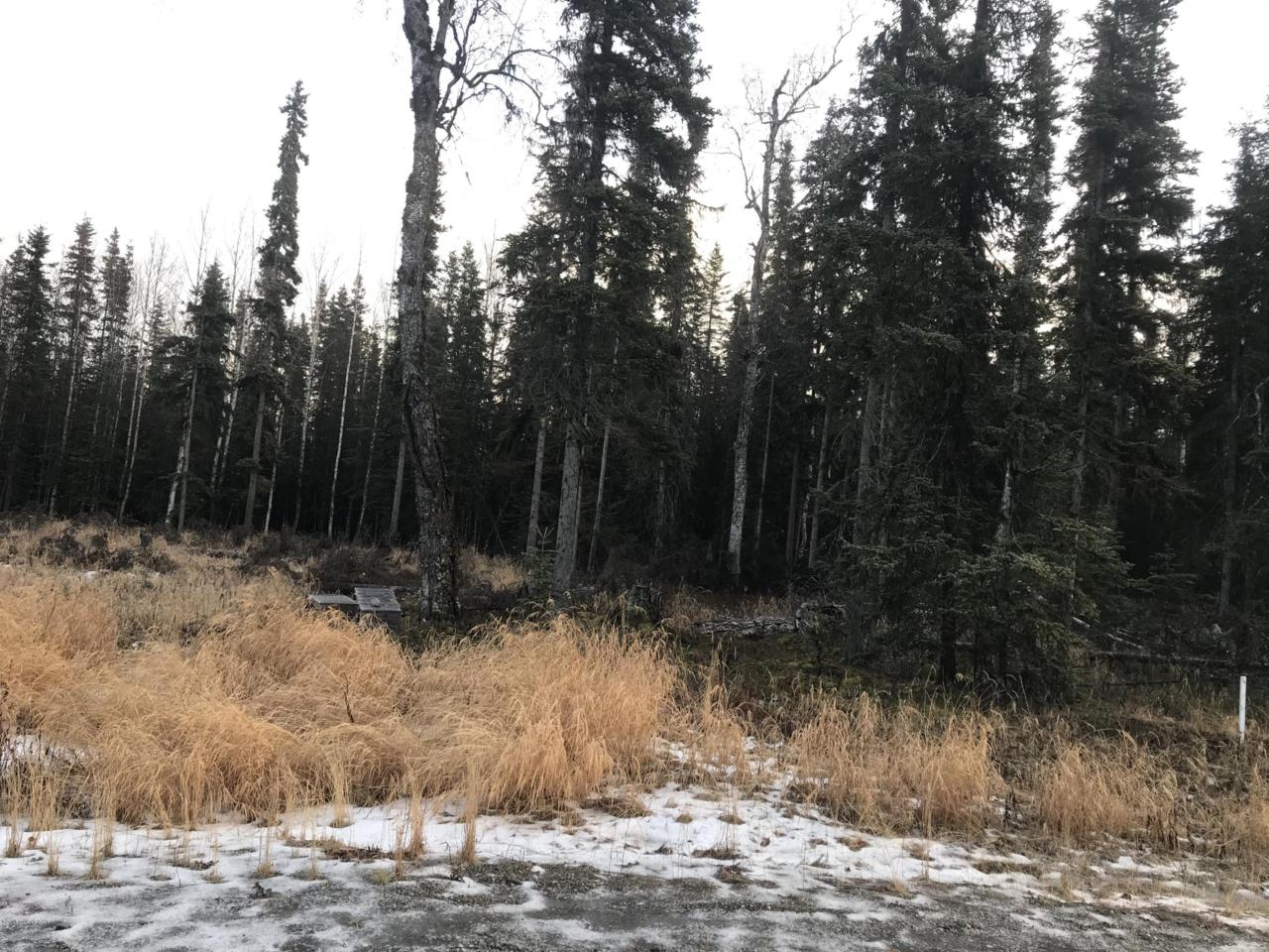 L16 Stone Hollow Estates - Photo 1