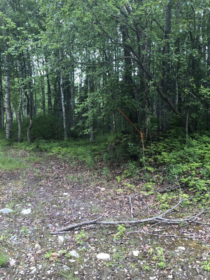 L1481 Caswell Lakes - Photo 1