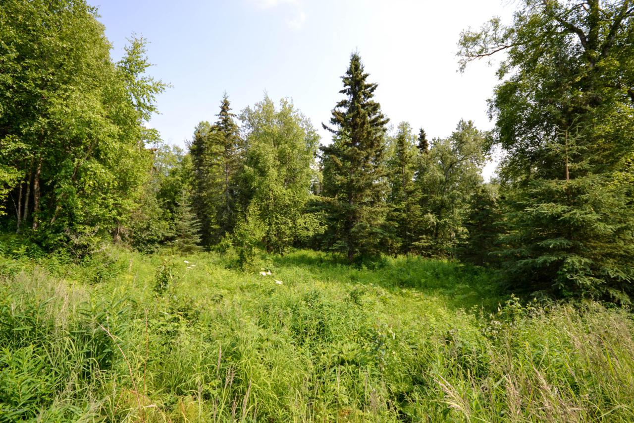 16185 Ptarmigan Road - Photo 1