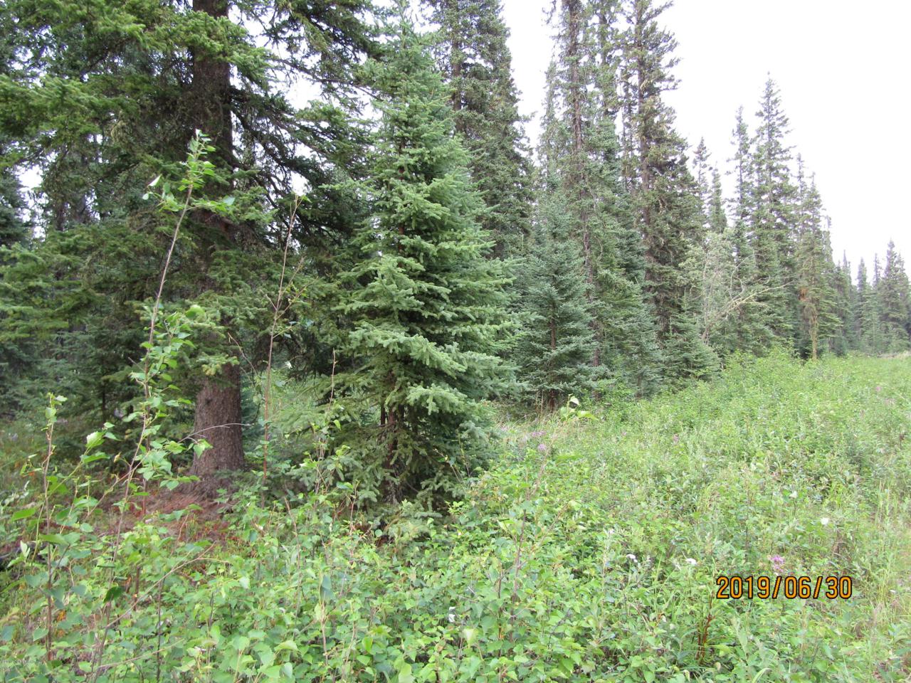 L49 Sandstone Street - Photo 1