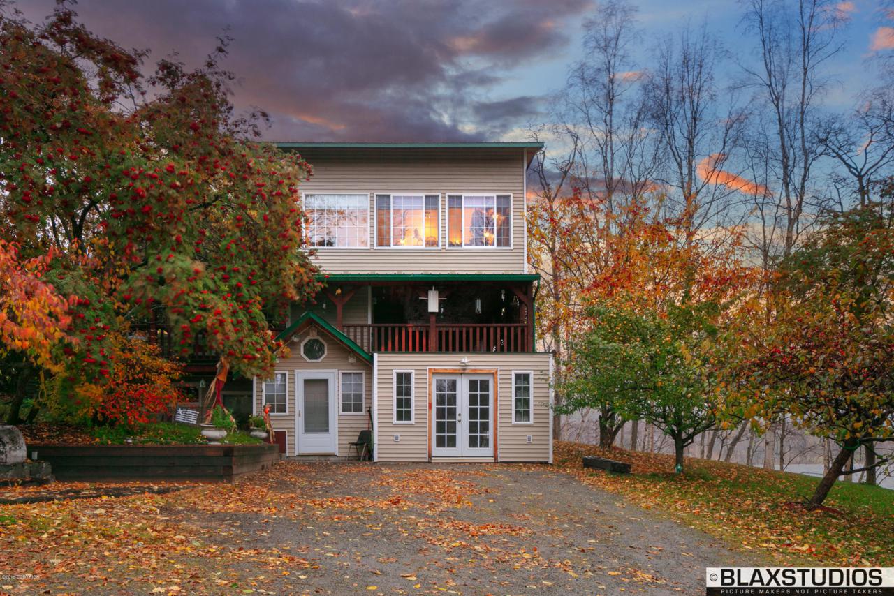 10506 Knik-Goose Bay Road - Photo 1