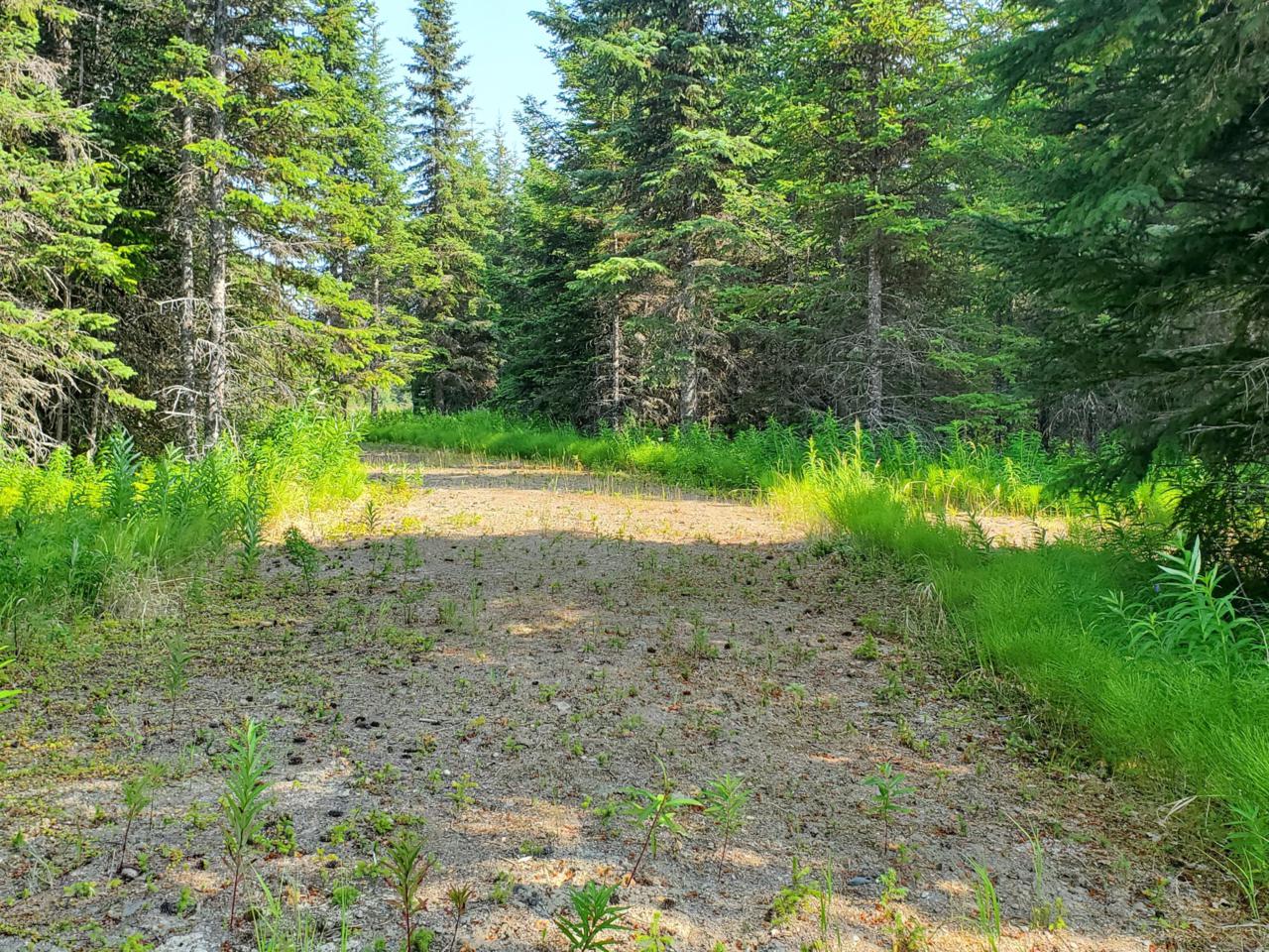35161 Old Sterling Highway - Photo 1