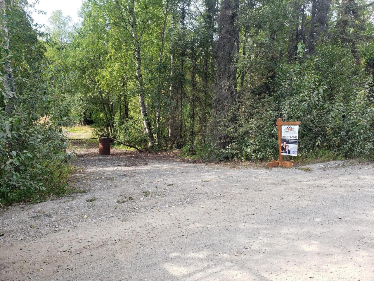 11303 Airolo Drive - Photo 1