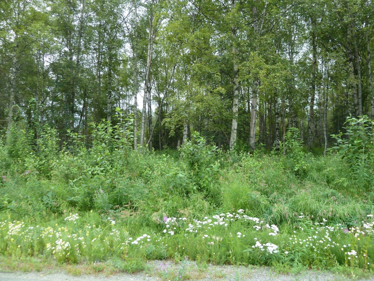 7270 Alyeska Drive - Photo 1