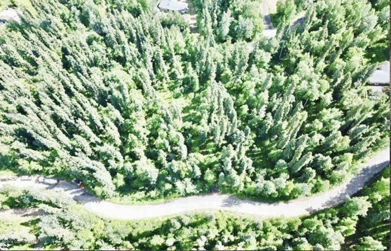 B2 L3 Heather Drive - Photo 1