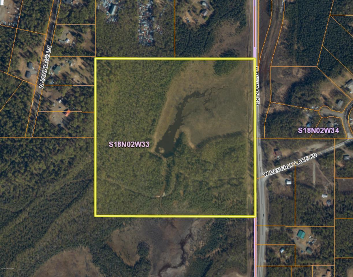 1314 Pittman Road - Photo 1