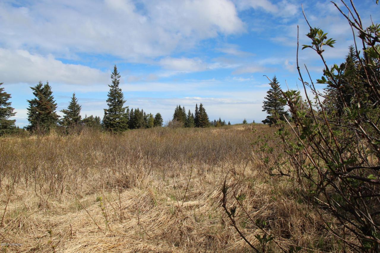 L13 B6 Hyila Lane - Photo 1