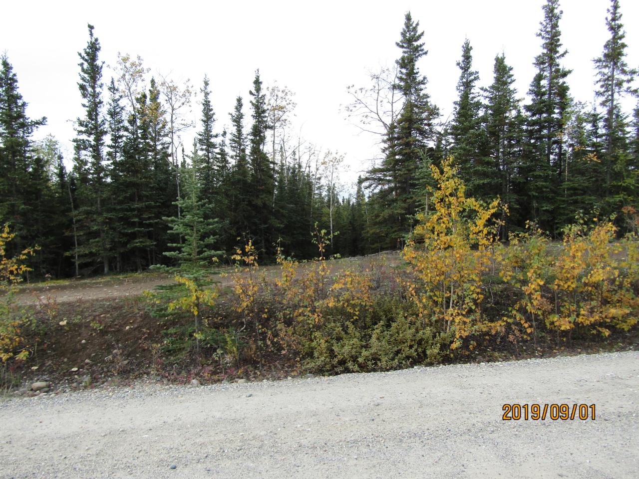 L13 BB Siedschlag Drive - Photo 1