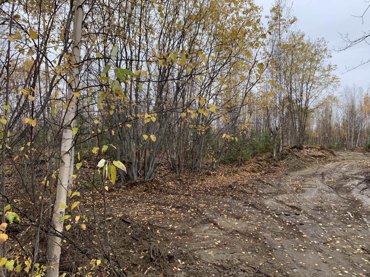 1124 Rogers Road - Photo 1