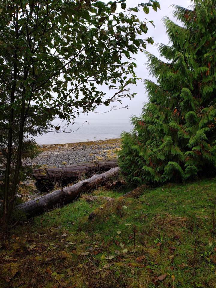 L14 Shoemaker Loop - Photo 1