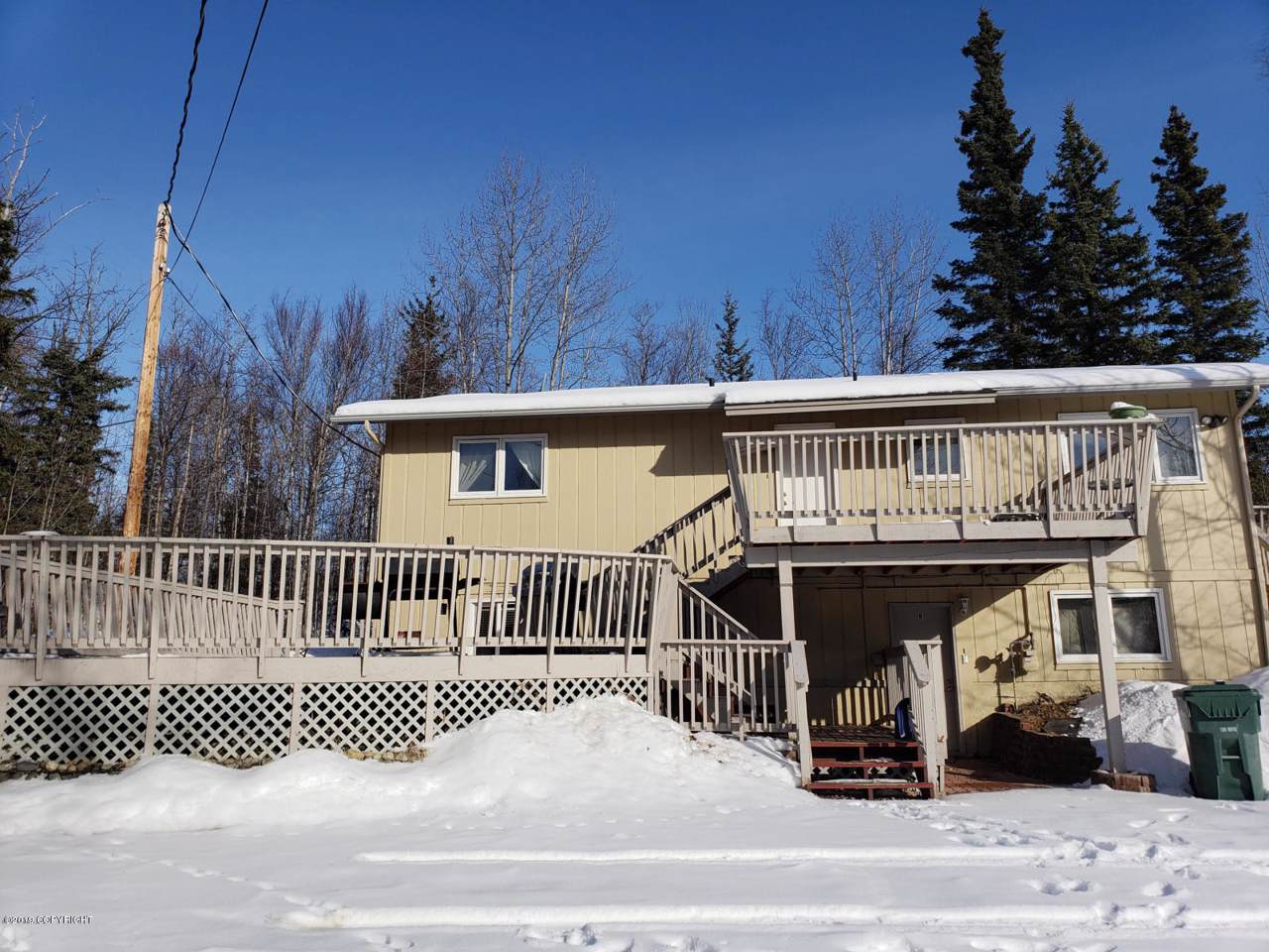 865 Lone Cub Drive - Photo 1